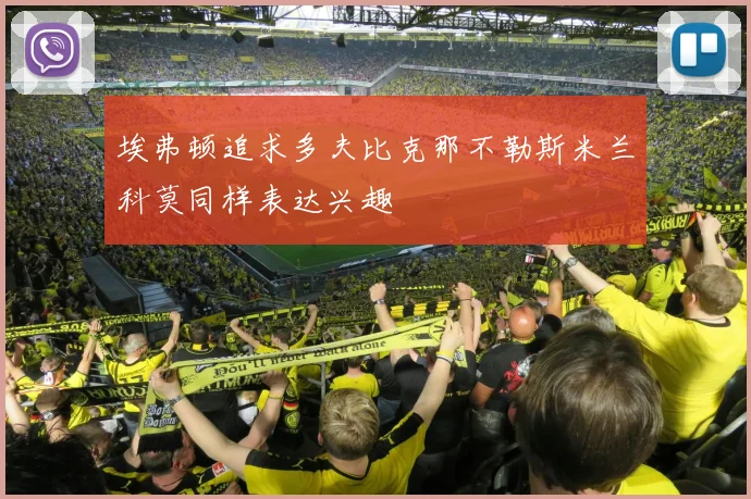 埃弗顿追求多夫比克那不勒斯米兰科莫同样表达兴趣