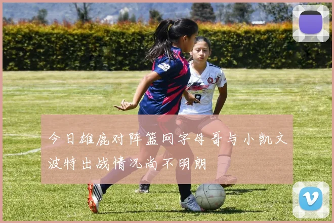 今日雄鹿对阵篮网字母哥与小凯文波特出战情况尚不明朗