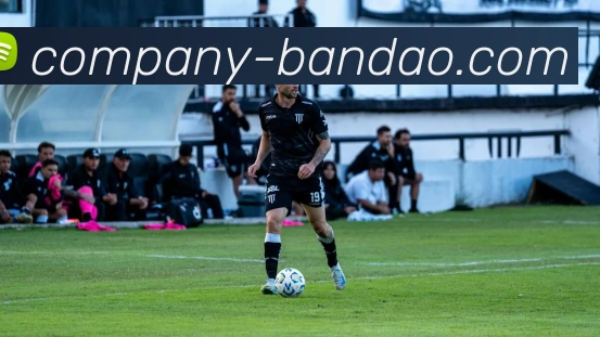 半岛体育APP 封面图