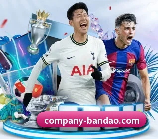 半岛体育 APP - bandao